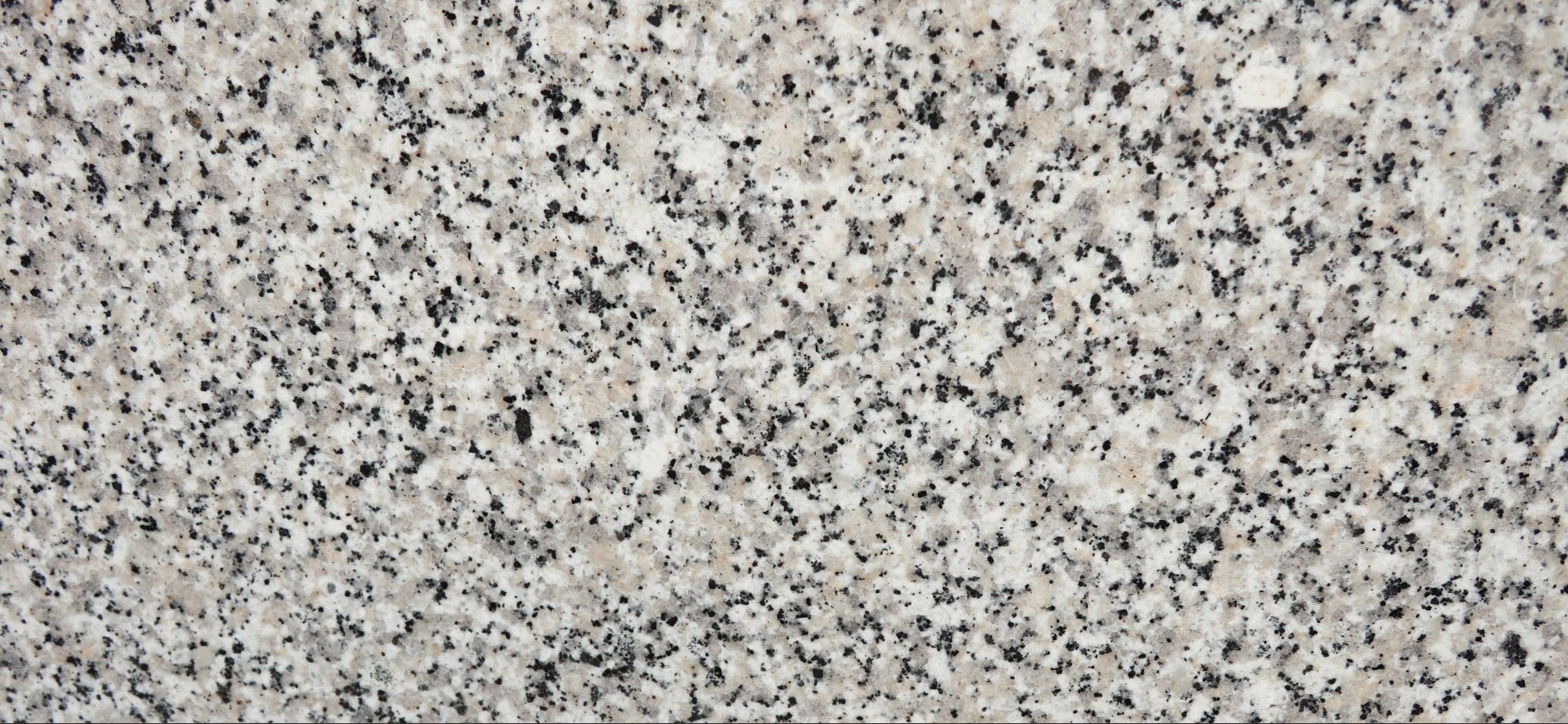 Granite Bianco Sardo P