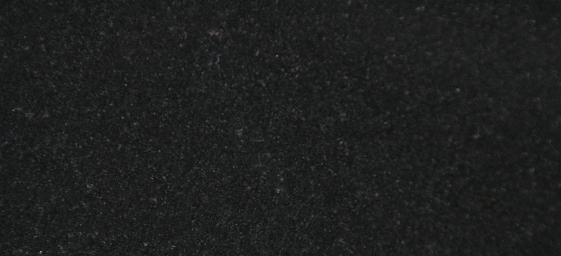 Granite Indian Black