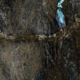 Baobab
