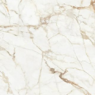 Calacatta Gold