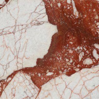 Calacatta Red