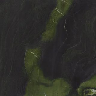 Selvaggio Green